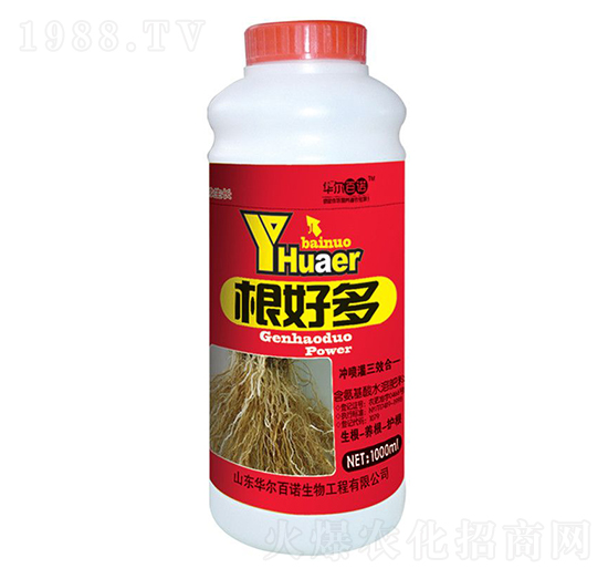 ���ö�-�A�����Z