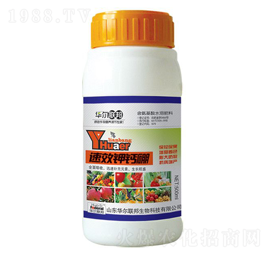 ��Ч��}��-�A�����Z