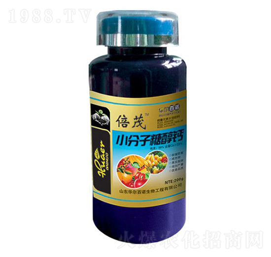 С�����Ǵ��}-�A�����Z