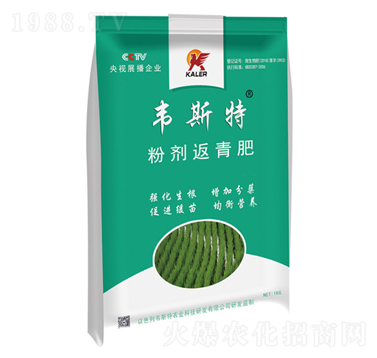 �ۄ������-�f˹��-���r(n��ng)�I(y��)