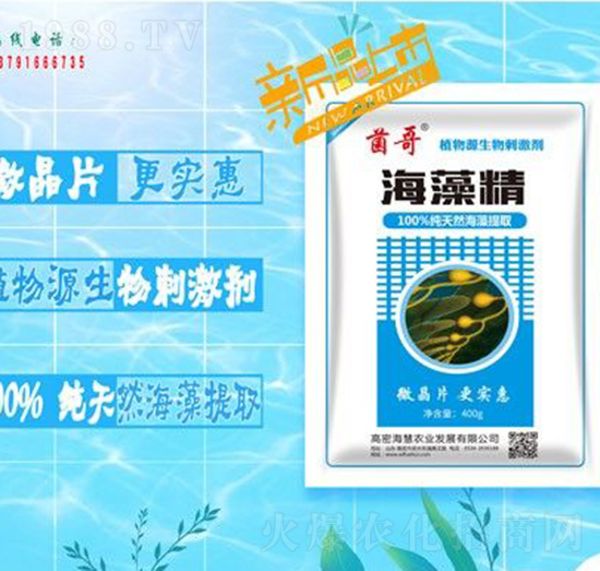 ���徫-����