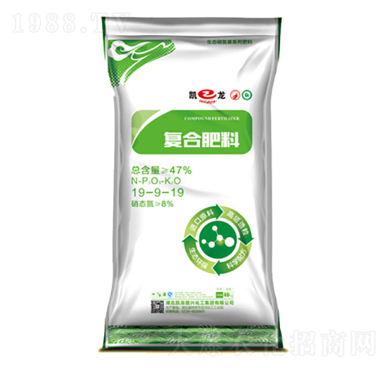 ��(f��)�Ϸ���19-19-19-�P�����d