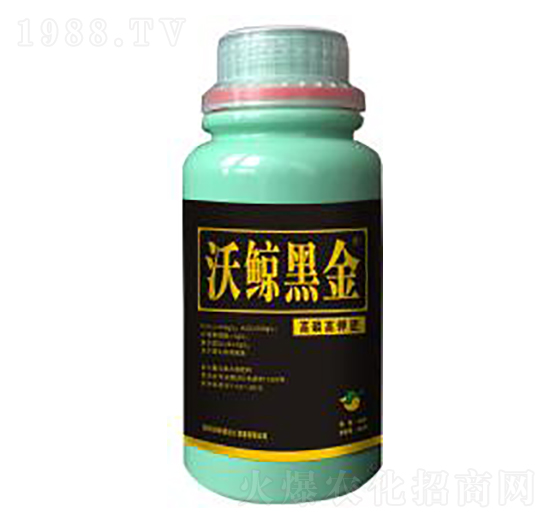 �ڽ���⛷�-���L