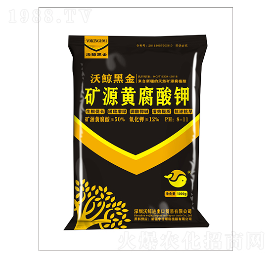 50%�VԴ�S�����-���L