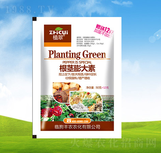 ���o�����-ֲ��-�S�r�r��