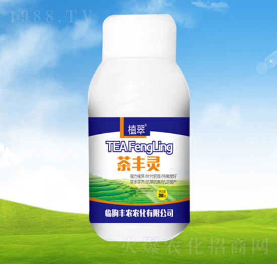 ���S�`-ֲ��-�S�r�r��