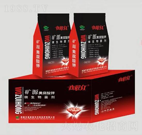 �VԴ�S�����΢�������-�����ʘI(y��)