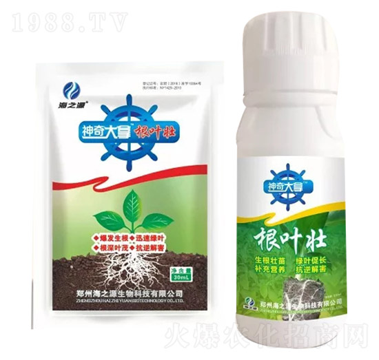 ���~��-�������-��֮Դ