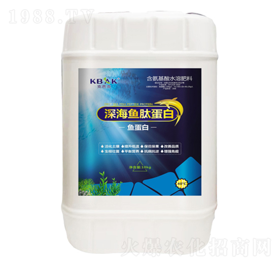 ��~�ĵ���-�~����-�˰ſ�