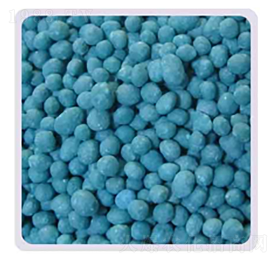 ����⛏ͺϷ�19-19-19-���P����