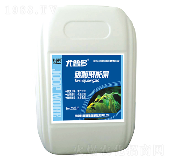 ̼ø������-���ն�-�Ʒ�ķ