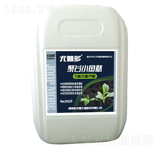 �۹�С�~��-���ն�-�Ʒ�ķ