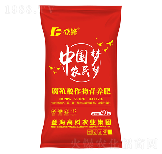 ��ֳ������I�B(y��ng)��-�Ƿ�