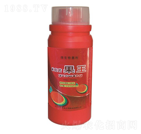 �׿�������-�A�I����