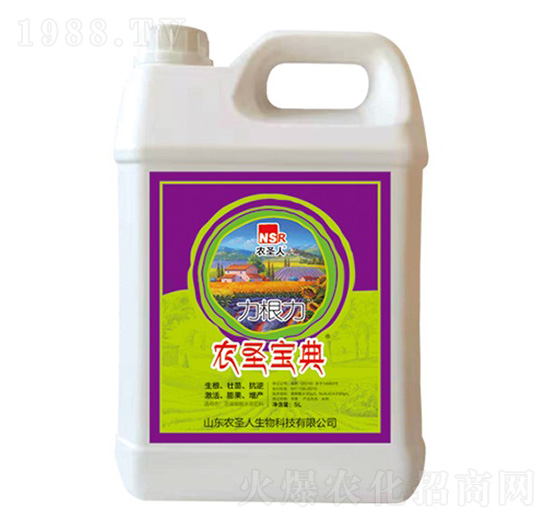 ������-�rʥ����-�rʥ��