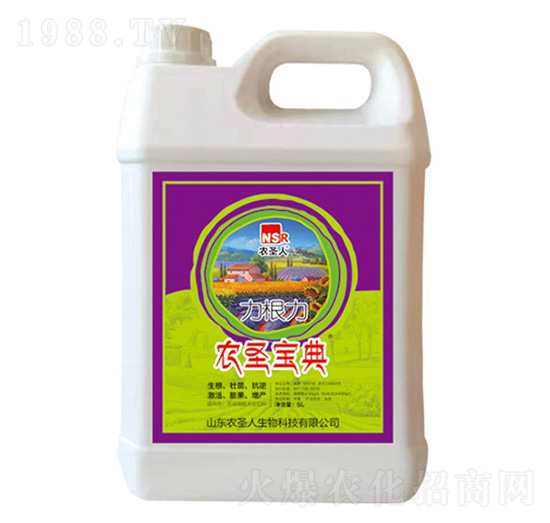 5L������-�rʥ����-�rʥ��