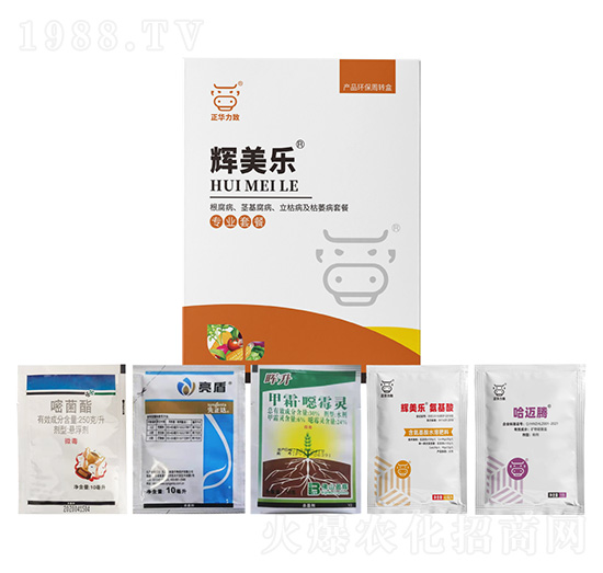 ���������o�����������ݲ�����ή���ײ�-�x����(l��)-���A����