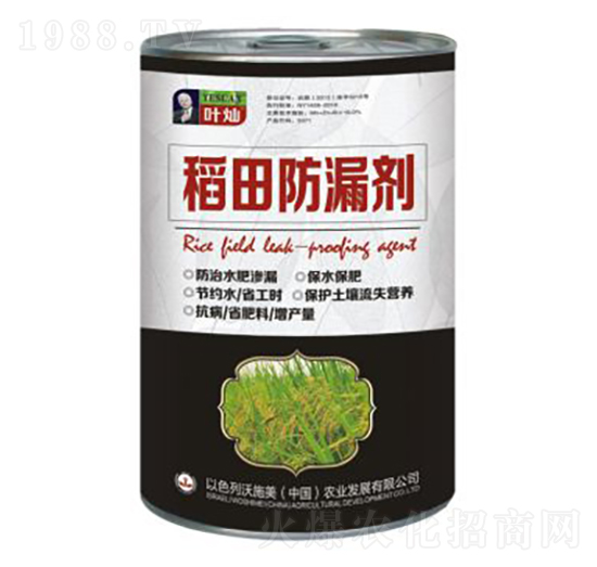 �����©��-�»�