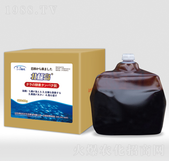 ���O�u����-�����r��