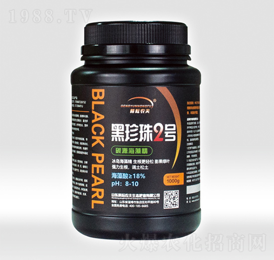 ̼Դ���徫-������2̖-�����r(n��ng)��