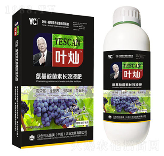葡萄專用氨基酸菌素長(zhǎng)效液肥-葉燦-德化