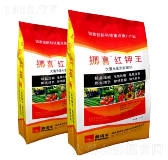 Ųϲ�t���-���Z�S