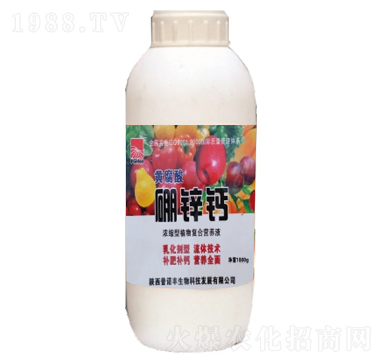 �S�������\�}-���Z�S