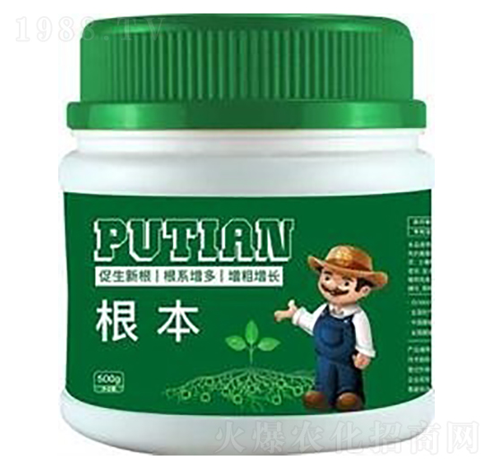 ����-����Ƽ�