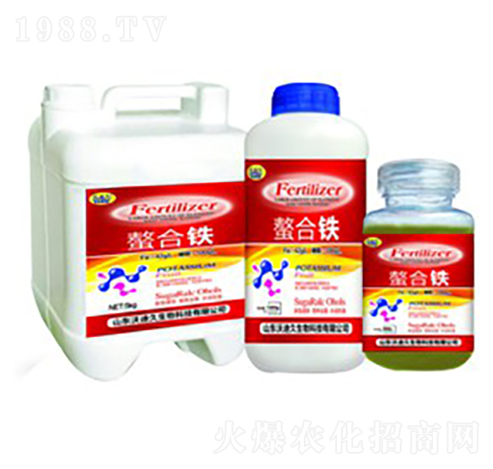 ��һԪ�ط���-���w��-�ֵϾ�