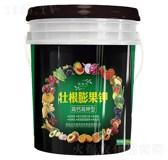 ���}����͉Ѹ�����-���|����