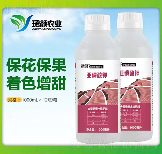 �������-�B��r(n��ng)�I(y��)