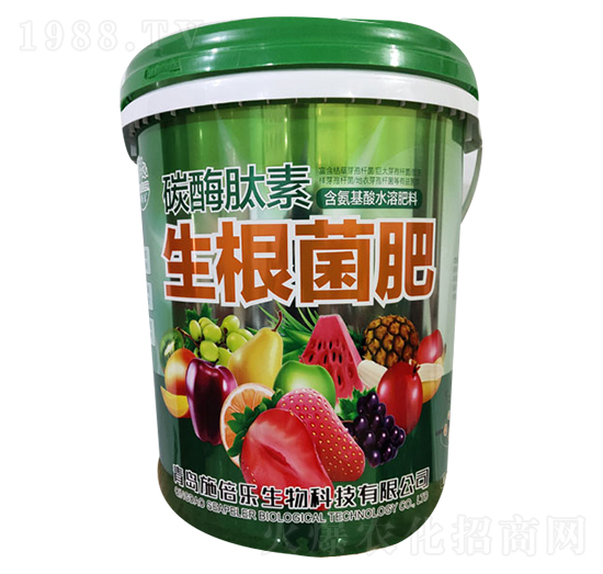 ̼ø������������-�������