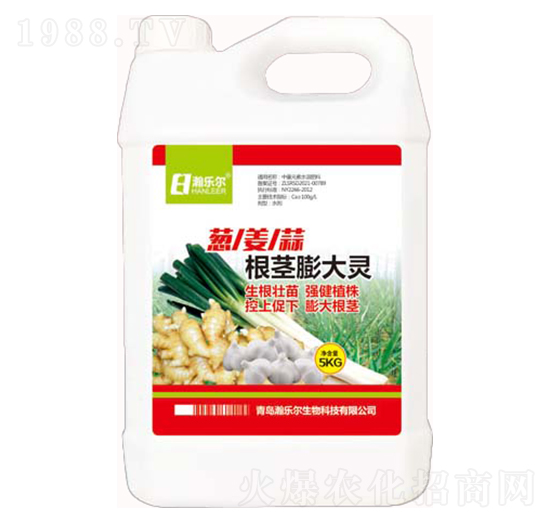 蔥姜蒜根莖膨大靈-瀚樂爾