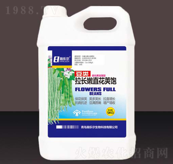 豆類拉長(zhǎng)嫩直花莢飽-瀚樂爾