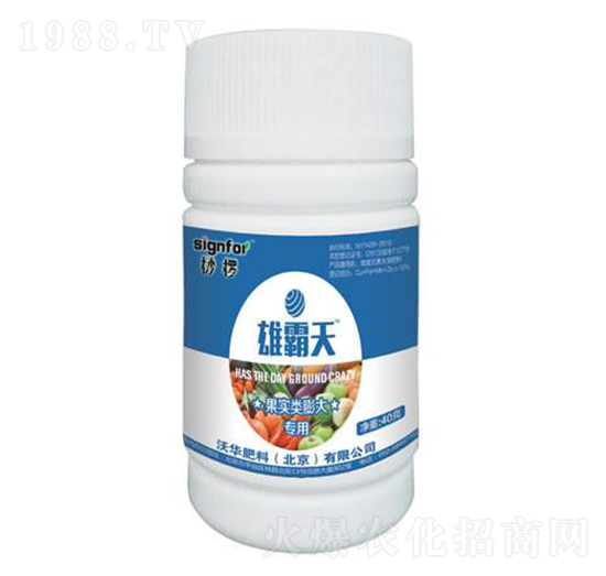 ����������-�۰���-���A����