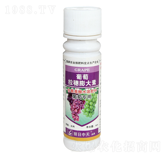 �������������-����ʘI(y��)