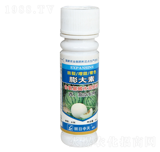 ��������ό�(zhu��n)��-���������-����ʘI(y��)