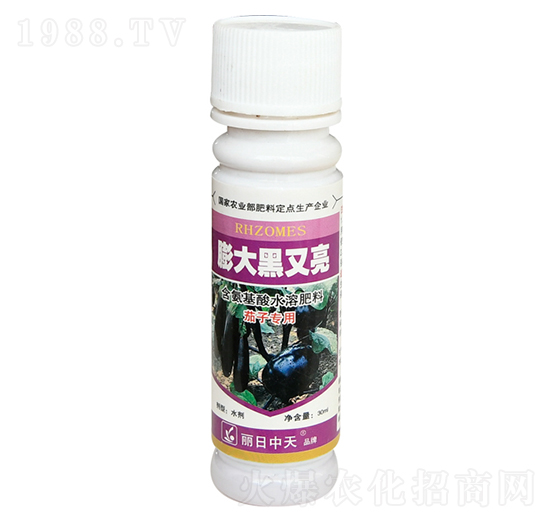 ��������-����ʘI(y��)