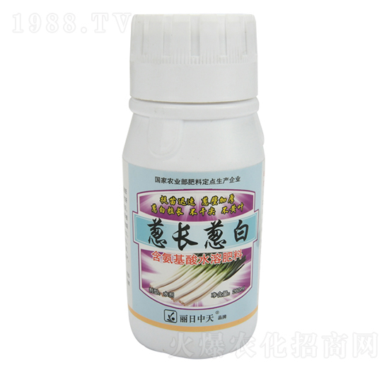 �[�L�[��-����ʘI(y��)