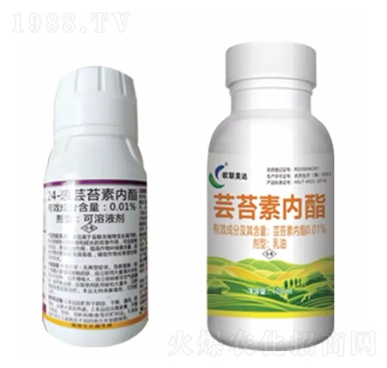 蕓苔素內(nèi)脂-歐聯(lián)美達