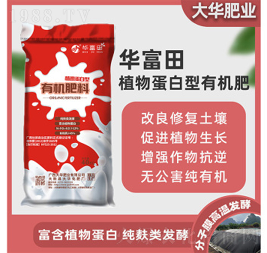 ֲ�ﵰ�����ЙC(j��)����-�A����-���A����