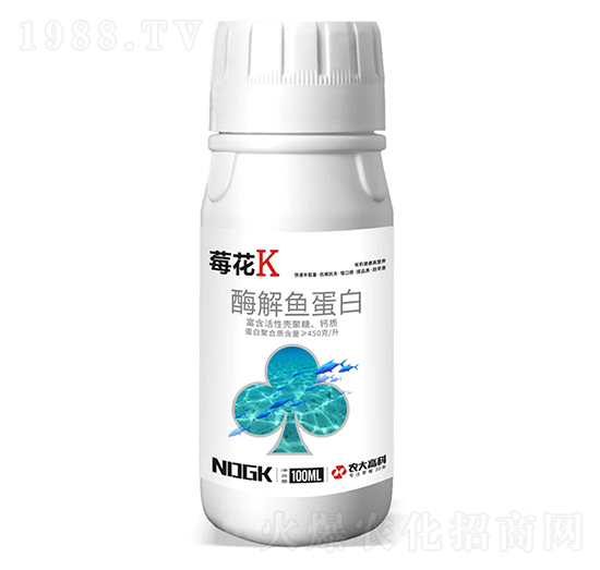 ø���~(y��)����-ݮ��K-������