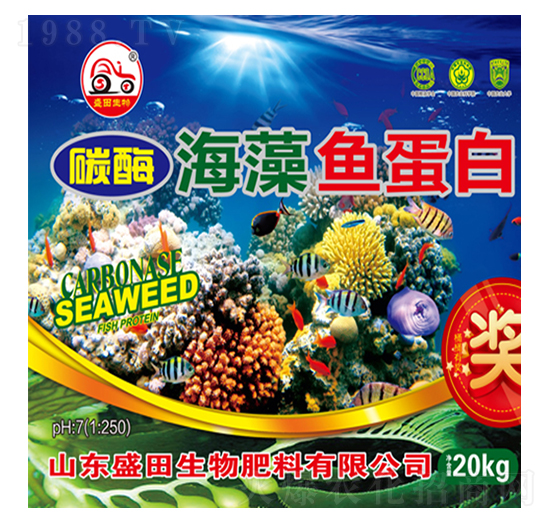 ̼ø�����~(y��)����-ʢ������