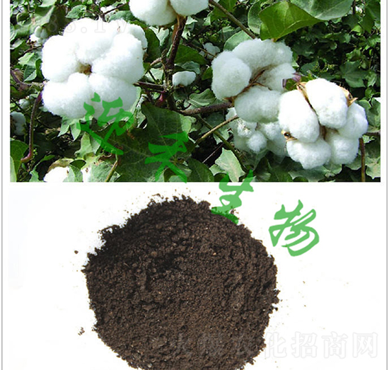 �޻���(zhu��n)�÷�-ӭ������