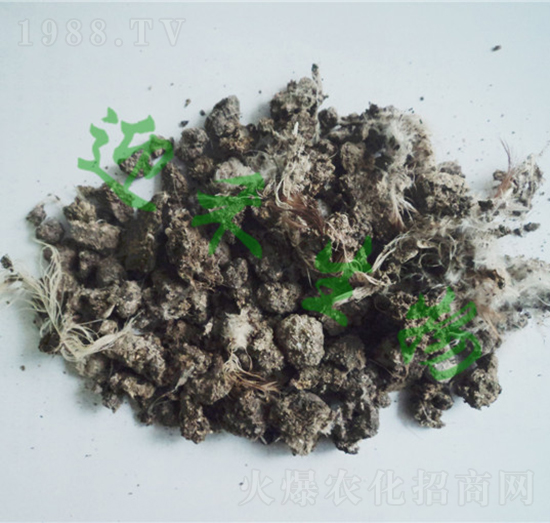 ����u�S�K-ӭ������