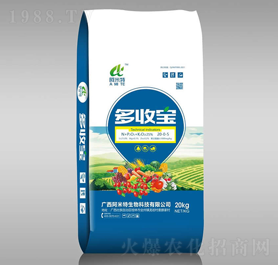 ���Ռ�-������