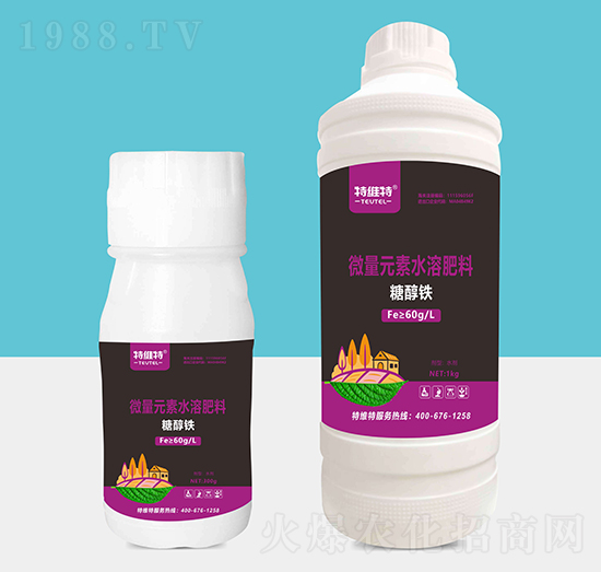 �Ǵ��F-�ؾS��