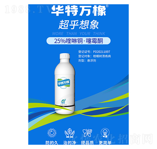 25%����~����ùͪ-�A���f��-�����A��