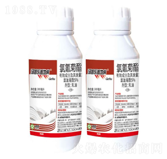 5%�����������-�w�ػ�-���՘�(l��)