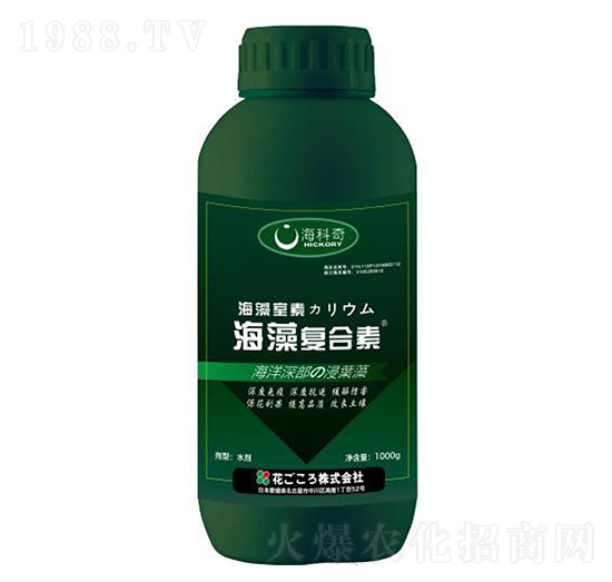 ����ͺ���-������